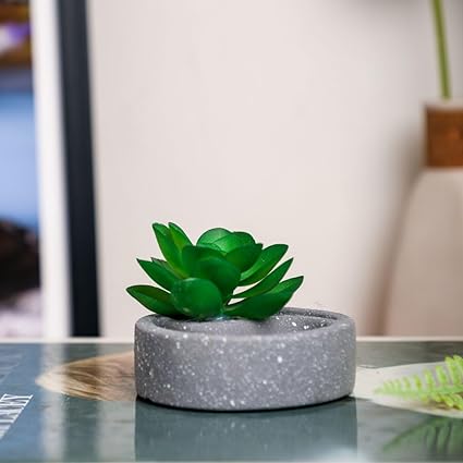 aesthetic Mini Succulent plant with Ceramic cement Pot for indoor,flower succulent pot,Home Corner Decor