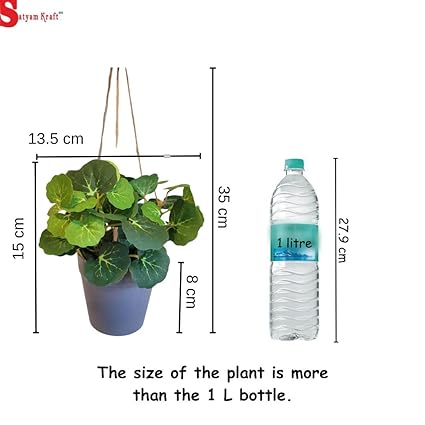 Artificial Hanging Succulent Plant with Aesthetic Ceramic Cement Pot,Indoor,Office,and Kitchen-Wall Hanging and Tabletop Decoration Items
