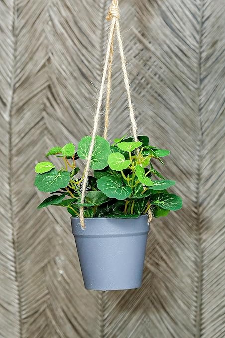 Artificial Hanging Succulent Plant with Aesthetic Ceramic Cement Pot,Indoor,Office,and Kitchen-Wall Hanging and Tabletop Decoration Items