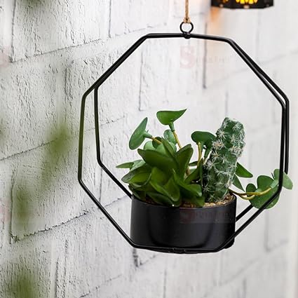 Succulent Plant with Aesthetic Metal Holder - Small Artificial Flower Plant