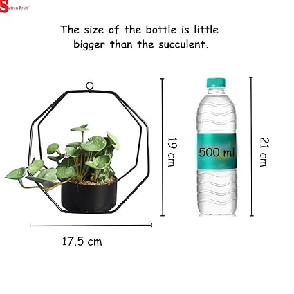 Succulent Plant with Aesthetic Metal Holder - Small Artificial Flower Plant