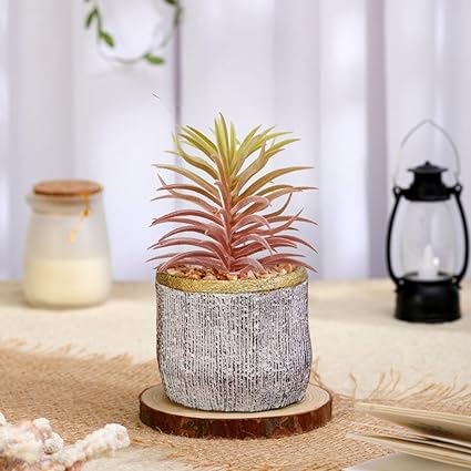 Mini Artificial Succulent with Ceramic Pot for Home Decor