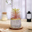 Mini Artificial Succulent with Ceramic Pot for Home Decor