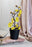 2 Pc Artificial Blossom Flower Stick with Plastic Pot Flower Pot for Home Decor, Living Room, Gifting, Table Top, Showpiece, Balcony, Raksha Bandhan Gifting(with Pot)