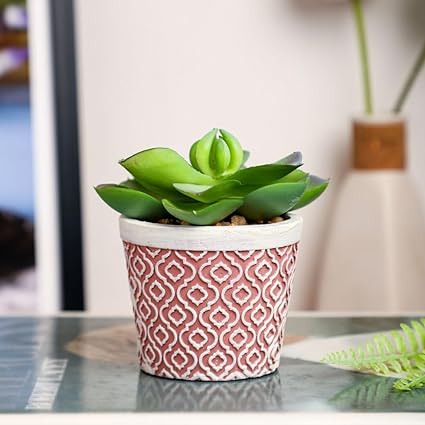Mini Echeveria elegans Artificial Aesthetic Green Succulent Plant with Ceramic Pot to Add Charm to Your Homedecor