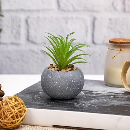 Mini Aesthetic Succulent Flower Plant with Ceramic Cement Pot for Indoor,Home,Living Room