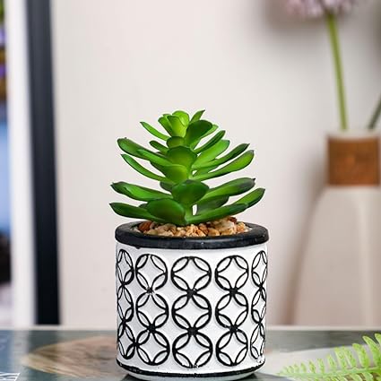 Mini Artificial Green Succulent with Aesthetic Ceramic Pot, Indoor to Add Charm to Your Home Decor