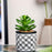 Mini Artificial Green Succulent with Aesthetic Ceramic Pot, Indoor to Add Charm to Your Home Decor