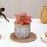 Mini Artificial Succulent with Ceramic Pot Exquisite Faux Plant to Add Charm to Your Home, Perfect for Gifting, Office, Home Decor