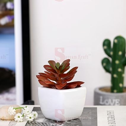Succulent Small Mini indoor Plants with aesthetic cement pot, Artificial Plant, indoor flower Plant with Pot