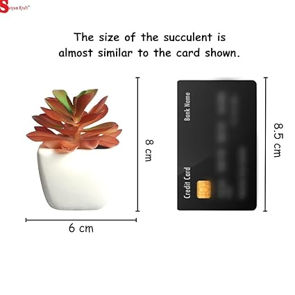 Succulent Small Mini indoor Plants with aesthetic cement pot, Artificial Plant, indoor flower Plant with Pot
