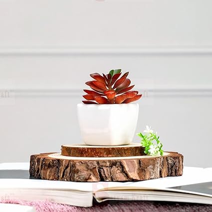 Succulent Small Mini indoor Plants with aesthetic cement pot, Artificial Plant, indoor flower Plant with Pot