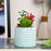 Mini Artificial Green Indoor Succulent Plant with Aesthetic Ceramic Pot Faux Flower Plant to Add Charm to Your Home