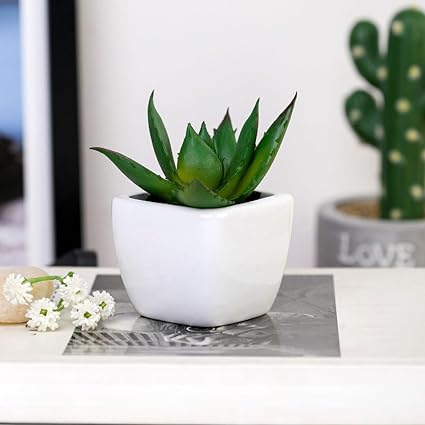 Succulent Small Mini indoor Plants with aesthetic cement pot,Agave Plant, Faux flower indoor Plant with Pot Add Charm to Your Home decor