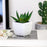 Succulent Small Mini indoor Plants with aesthetic cement pot,Agave Plant, Faux flower indoor Plant with Pot Add Charm to Your Home decor