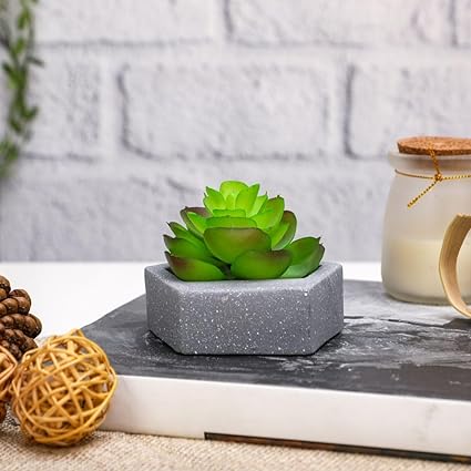 Mini Aesthetic Succulent Plant with Ceramic Cement Pot for Indoor, to Add Charm to Your Homedecor