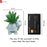 Mini Aesthetic Succulent Plant with Ceramic Cement Tortoise Pot for Indoor,