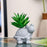 Mini Aesthetic Succulent Plant with Ceramic Cement Tortoise Pot for Indoor,