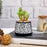 Mini Green Artificial Indoor Succulent with Aesthetic Ceramic Pot to Add Charm to Your Homedecor