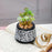 Mini Green Artificial Indoor Succulent with Aesthetic Ceramic Pot to Add Charm to Your Homedecor