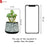 Mini Green Artificial Indoor Succulent with Aesthetic Ceramic Pot to Add Charm to Your Homedecor