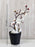 2 Pc Artificial Blossom Flower Stick with Plastic Pot Flower Pot for Home Decor, Living Room, Gifting, Table Top, Showpiece, Balcony, Raksha Bandhan Gifting(with Pot)