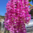(43.2 inch) Artificial Wisteria Vine Ratta Fake Wisteria Hanging Garland Silk Long Hanging Bush Flowers String for Home Decor,Diwali Decor,Valentine's Day Decoration