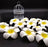 Artificial Big Fake Foam Hawaii Beach Water Floating Flowers for Decoration, Pooja Thali. Festival & Events, Home, Table, Bedroom, Pooja Room, DIY Craft (White)